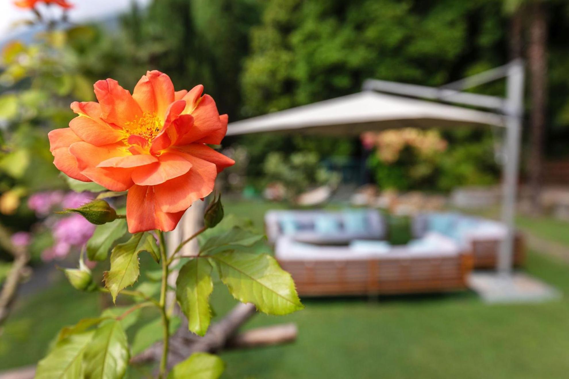Parkhotel Brenscino Brissago Exterior foto